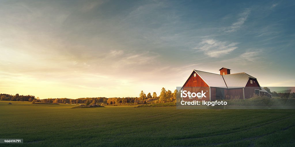 Summer field with red barn Swedish nature and landscape. Barn Stock Photo