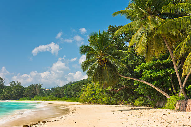 istock Tropical beach at Mahe island Seychelles 466415436