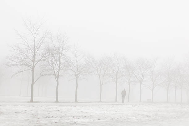 istock Fog in the morning in the park 466418588