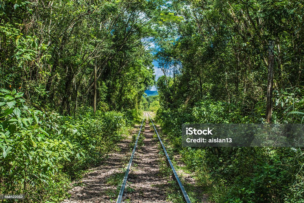 Viaduct railway railroad 2015 Stock Photo