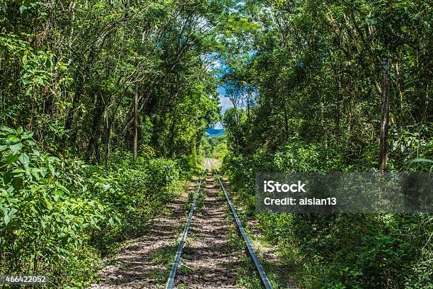 Viaduct Railway Railroad Stock Photo - Download Image Now - 2015, Adventure, Architecture