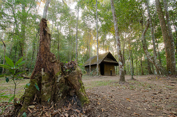 istock The old cottage in mystery forest. 466422902