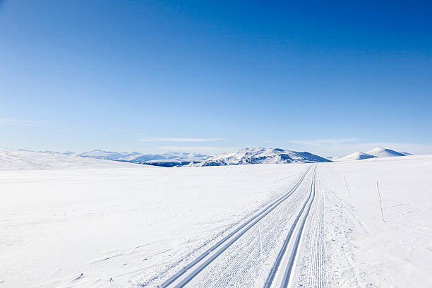 Nordic winter  with blue skies in the mountains. stock photo