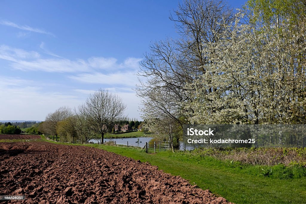 crops a view over a field  in a typical english farmland countryside landscape 2015 Stock Photo