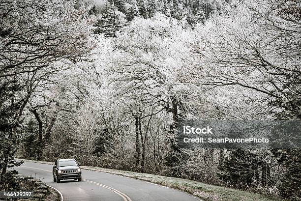 Smoky Mountains Stock Photo - Download Image Now - Appalachia, Clingman's Dome, Forest