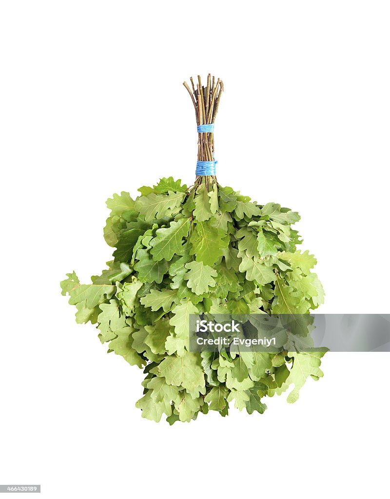 Broom from dry oak branches, for massage Broom from dry oak branches, for massage procedures in Russian bath. With wormwood addition. It is isolated on a white background. Bathhouse Stock Photo