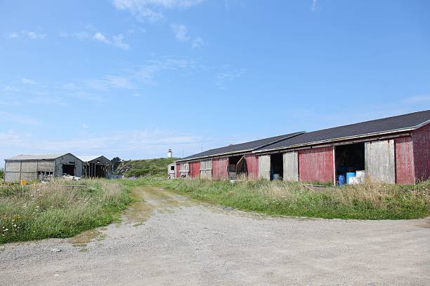 istock Sheds used for the fishing industry 466432982
