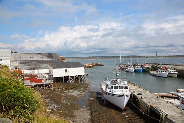 istock Boats at a wharf at Cape Saint Mary, Nova Scotia 466432986