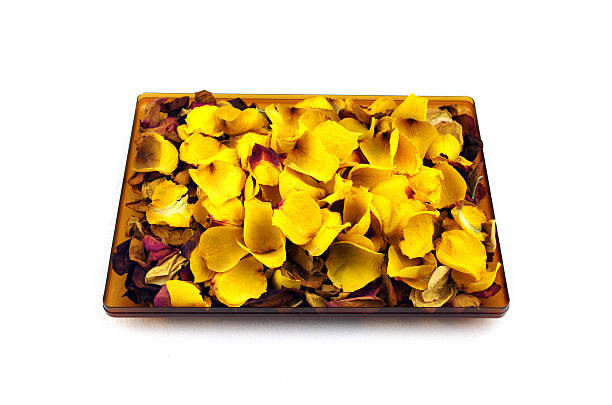 rose seca las hojas. - rose pattern yellow dried plant fotografías e imágenes de stock
