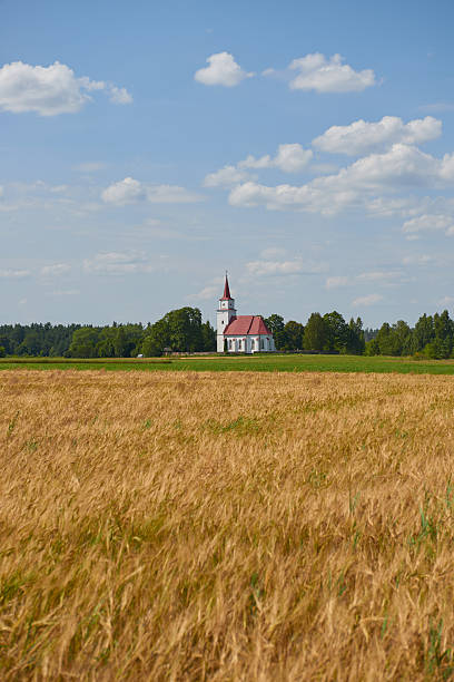 istock Landscape with Ripening wheat field and Church 466433176