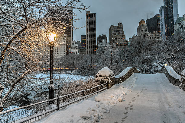 istock Gapstow bridge Central Park, New York City 466433218