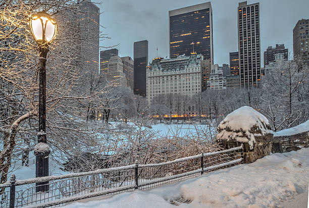 istock Gapstow bridge Central Park, New York City 466433222