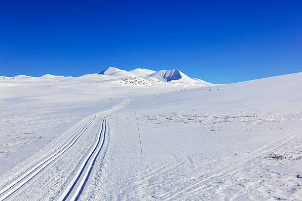 istock People skiing in the Norwegian mountains with blue skies . 466434418