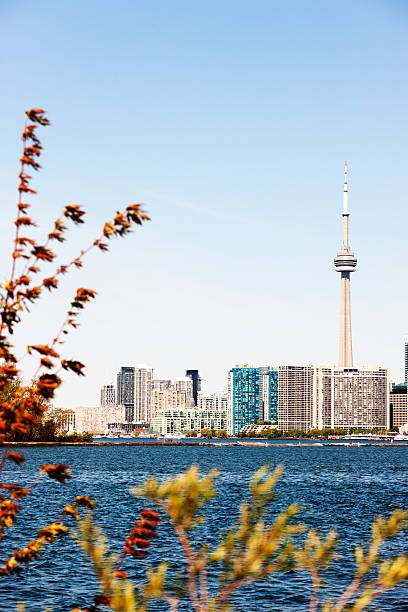 istock Toronto waterfront across Lake Ontario 466434481