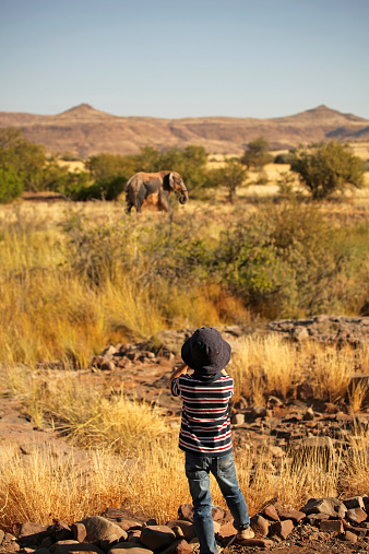 A rear view of a 6 year old (tourist) boy wearing safari hat and holding binoculars, watching an African elephant on safari in Namibia. The elephant is throwing sand on its back, in order to cool down. Northern Namibian landscape with dry grass, trees, and hills in the background.