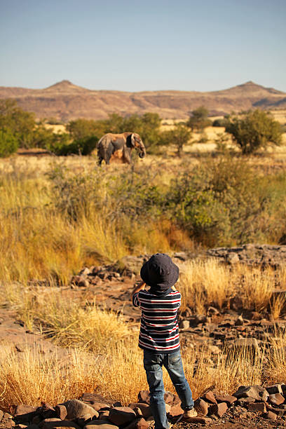 Boy Watching an Elephant through binoculars on safari in Africa stock photo