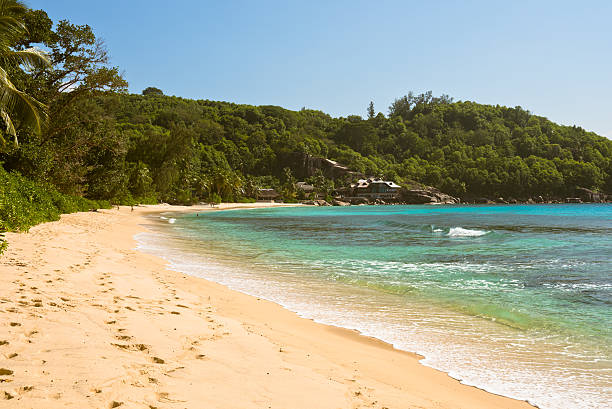 istock Tropical beach at Mahe island Seychelles 466434812