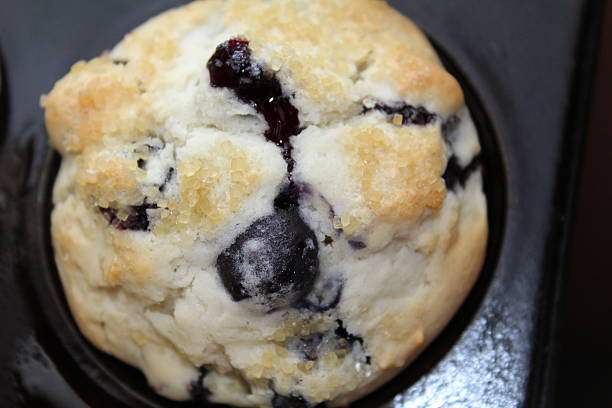 One single blueberry muffin
