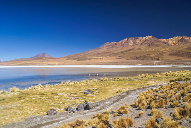 istock bolivian desert 466438660