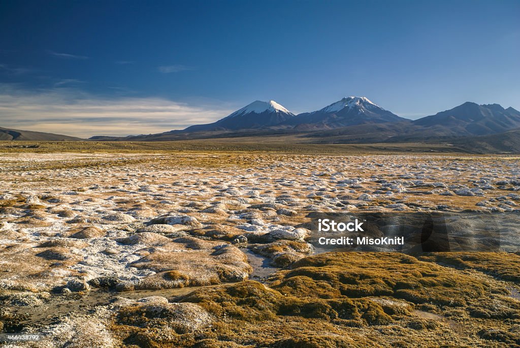 Sajama Scenic view of bolivian volcanoes, highest peaks in Bolivia in Sajama national park 2015 Stock Photo