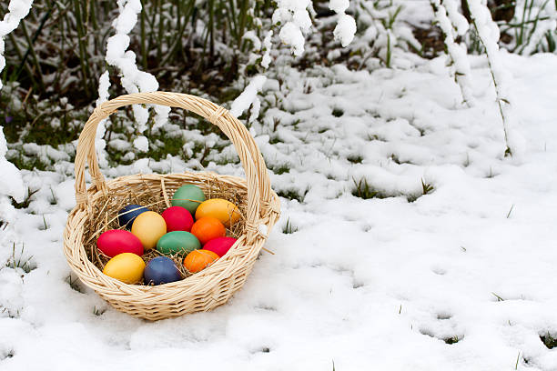 wielkanoc jaja w śnieg w ogrodzie - animal egg eggs basket yellow zdjęcia i obrazy z banku zdjęć