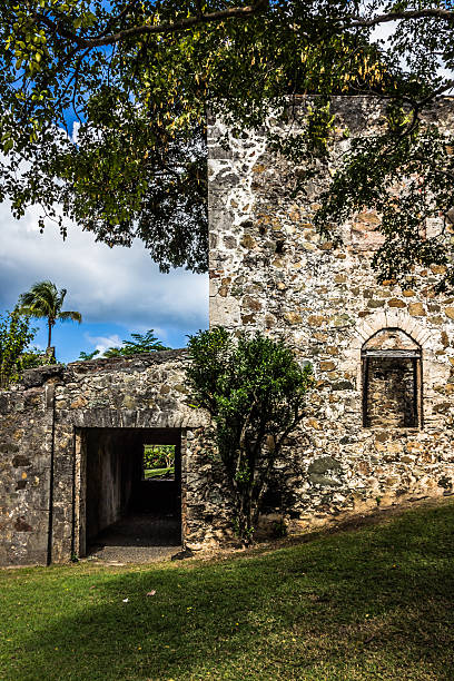 cukier plantation ruins - caneel bay zdjęcia i obrazy z banku zdjęć
