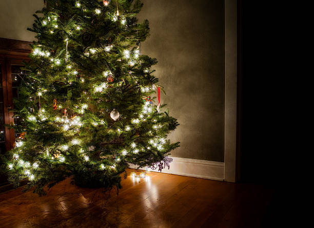 istock Dreaming of Christmas 466442865