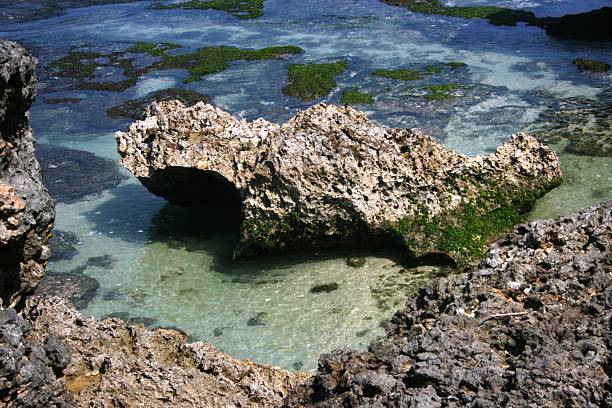 istock rock in Ngobaran beautiful beach 466452758