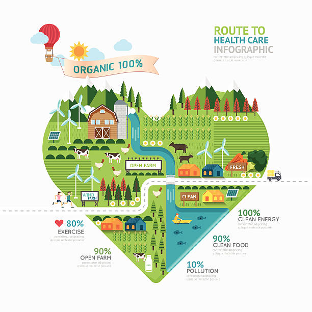 ilustrações, clipart, desenhos animados e ícones de infográfico de cuidados de saúde coração forma de modelo de design. - city chicken