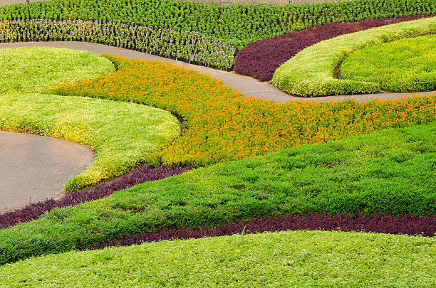 bela árvore de plantas ornamentais paisagem tropical e flor - formal garden tropical climate park plant imagens e fotografias de stock