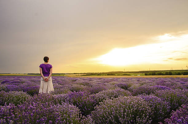 istock Woman in a lavender field looking at the sunset 466455447