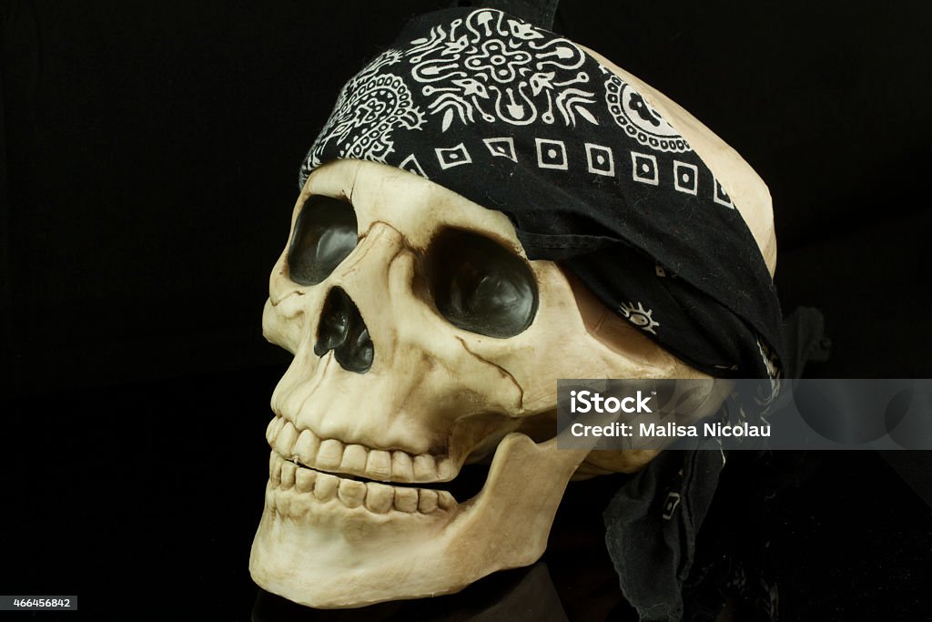 Pirate Skull Pirate skull with bandana 2015 Stock Photo