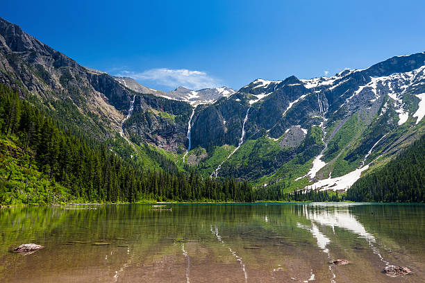 vistas cênicas da montanha e lago de avalanche, parque nacional glacier seg - montana mountain meadow flower - fotografias e filmes do acervo