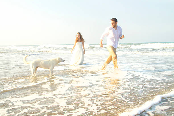 istock Bride and groom at beach with white dog 466458448