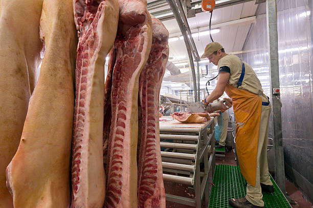 Butcher cutting meat on the Food Processing Plant Butcher cutting meat on the Food Processing Plant meat packing industry photos stock pictures, royalty-free photos & images