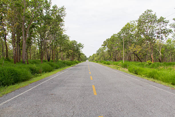 istock Road through the forest,thailand. 466461818