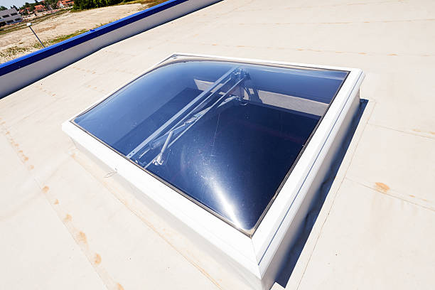 istock flat roof on industrial hall 466462396