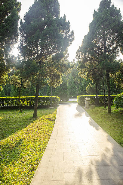 istock beautiful sunlight and shadow on the pedestrian path 466462460
