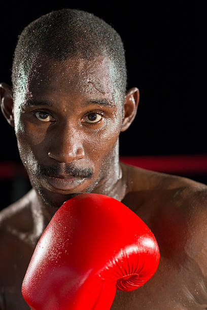 istock Portrait Of A Boxer 466463949