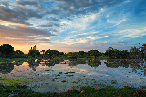 Scenic sunset in African swamps in national park