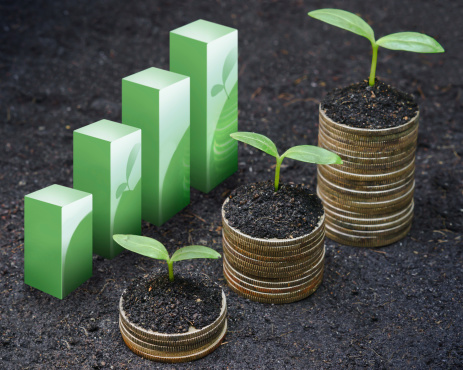tress growing on coins with green graph / csr / sustainable development / economic growth / trees growing on stack of coins