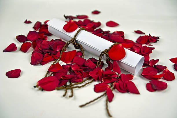 carta de amor - note rose image saturated color imagens e fotografias de stock