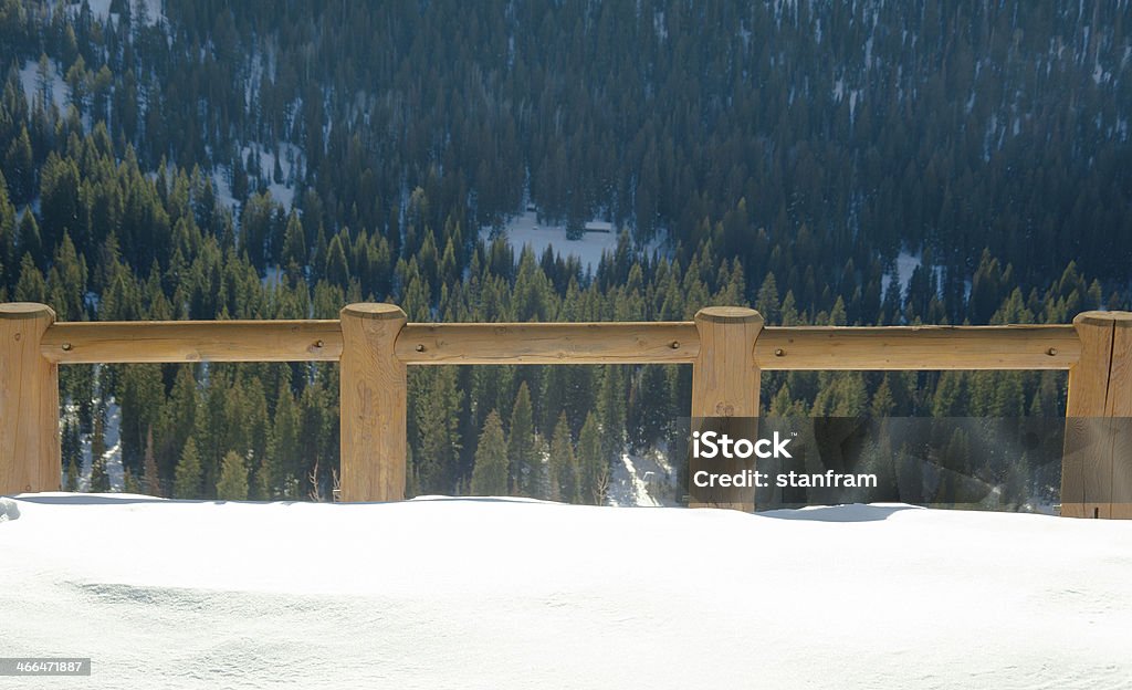 Clôture en bois avec la neige et des pins en toile de fond - Photo de Arbre libre de droits