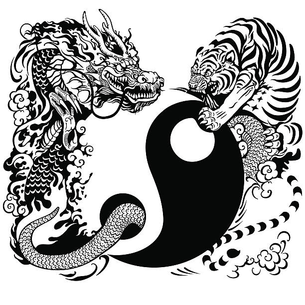 yin yang with dragon and tiger fighting yin yang symbol with dragon and tiger fighting, black and white tattoo illustration asian mythology stock illustrations