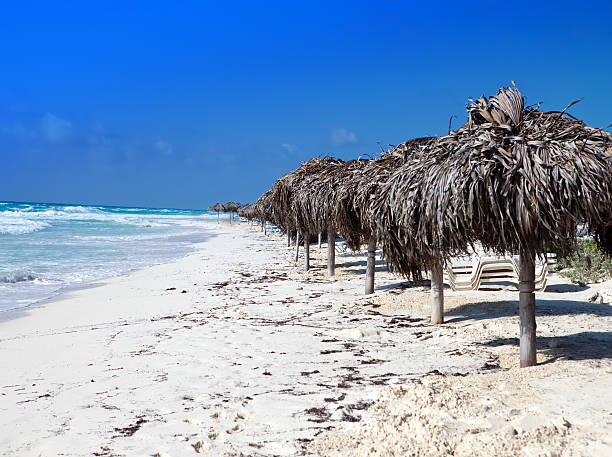 istock the seashore. Cayo Largo's island, Cuba 466481933