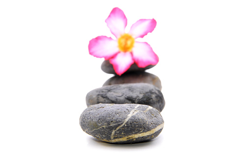 The Zen And Spa Stone With Frangipani Flower Over White Background