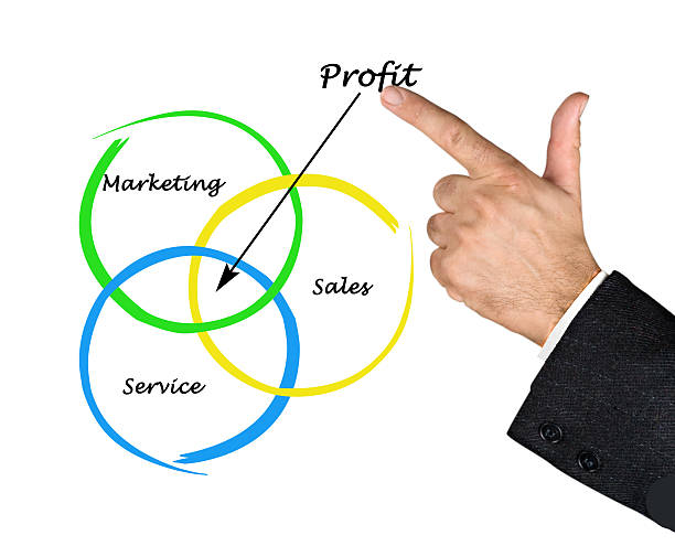 istock Diagram of profit 466482501