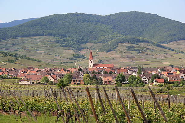 istock Ammerschwihr in the vineyard of Alsace 466485905