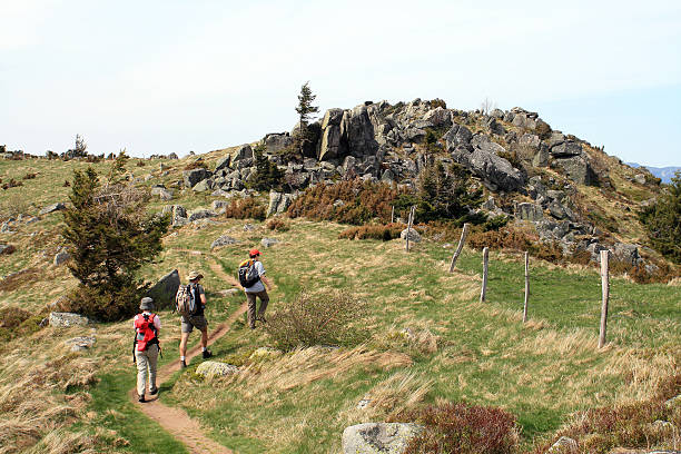 istock The Vosges, France 466486215