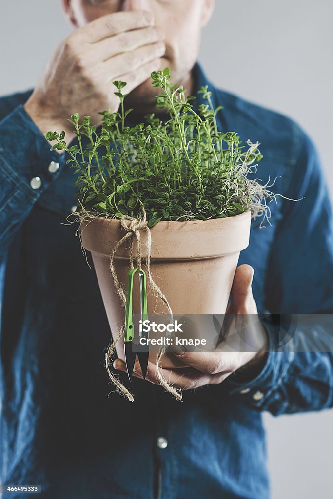 Man with a fresh plant of oregano 30-39 Years Stock Photo